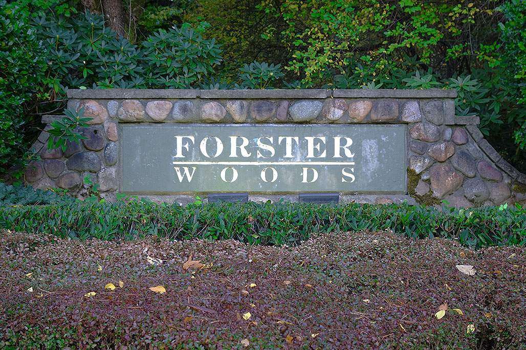 Forster Woods
