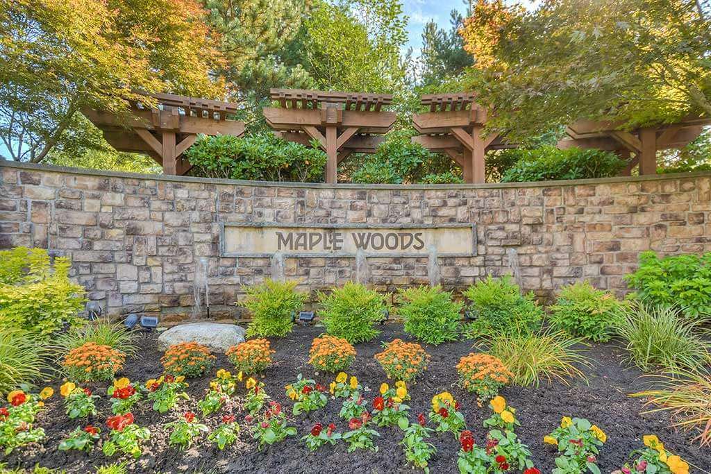 Maple Woods